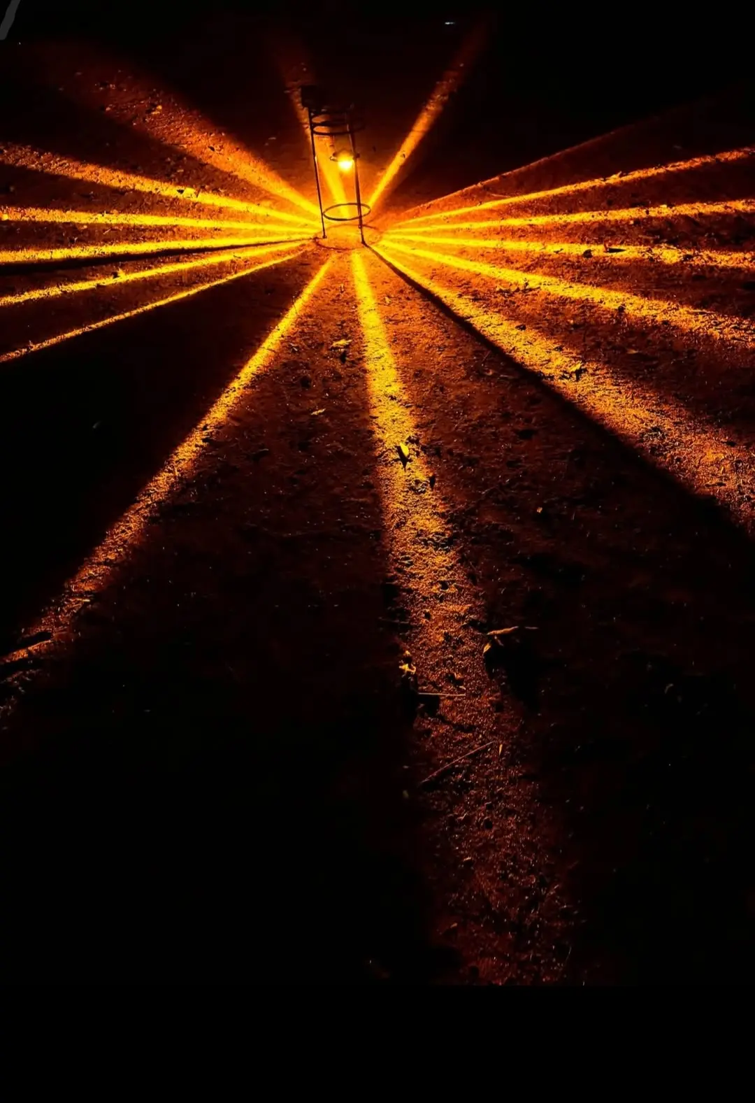 177326204384470.webp Super brite glass watermelon H11 amber - Image 1